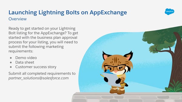 Lightning Bolt Launch Process - Page 2