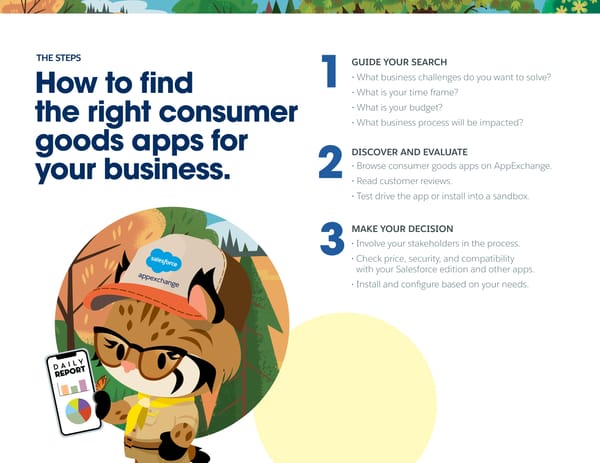 Salesforce Consumer Goods App Guide - Page 3