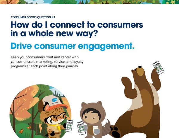 Salesforce Consumer Goods App Guide - Page 4