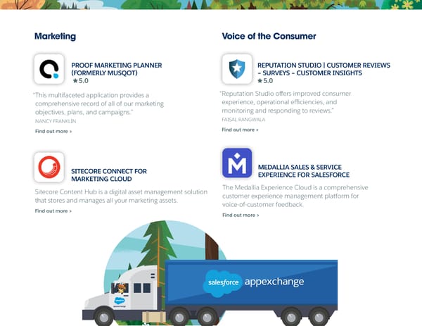 Salesforce Consumer Goods App Guide - Page 5