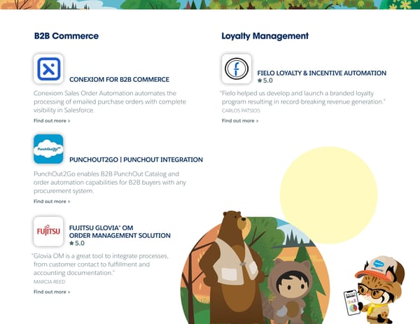 Salesforce Consumer Goods App Guide - Page 12