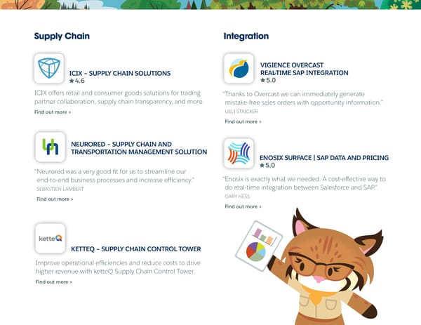 Salesforce Consumer Goods App Guide - Page 15