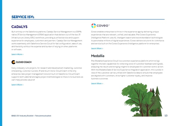 Telecommunication - Page 13